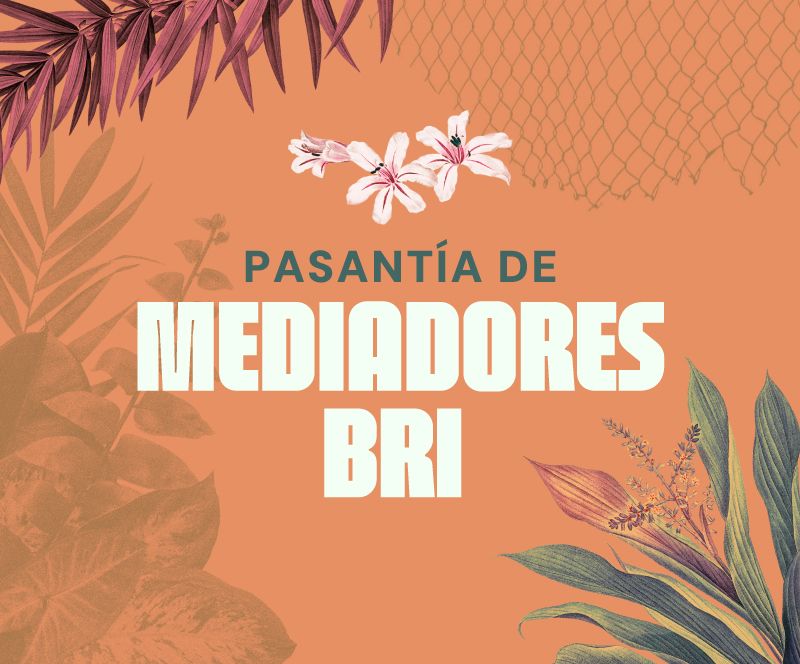 Postúlese a las Pasantías de las Bibliotecas Rurales Itinerantes