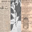 Investigar y usar creativamente el patrimonio bibliográfico