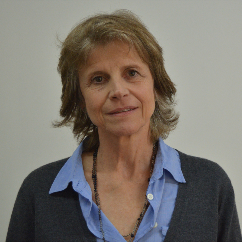 Ana Roda y los libros, una celebración