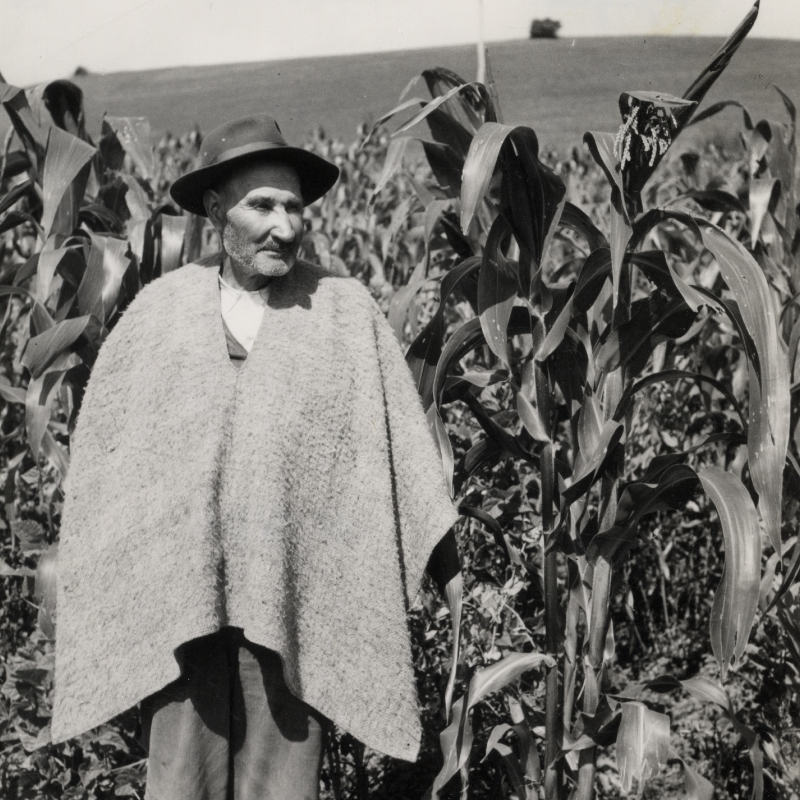 Charla |  ‘Diario de campo: Orlando Fals Borda en Saucio’