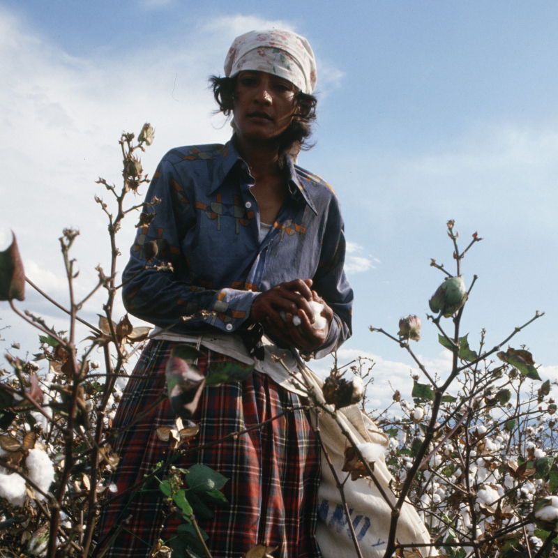 Movimientos feministas y disidencias de género | Visita guiada por la BNC
