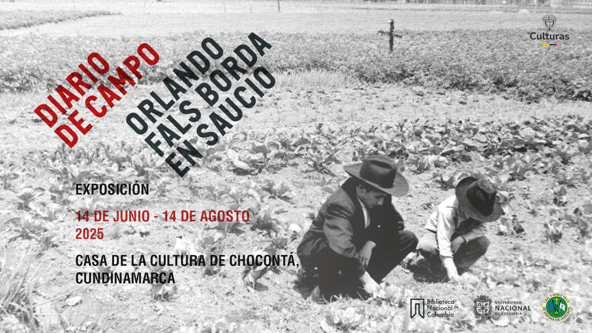 'Diario de campo', la exp