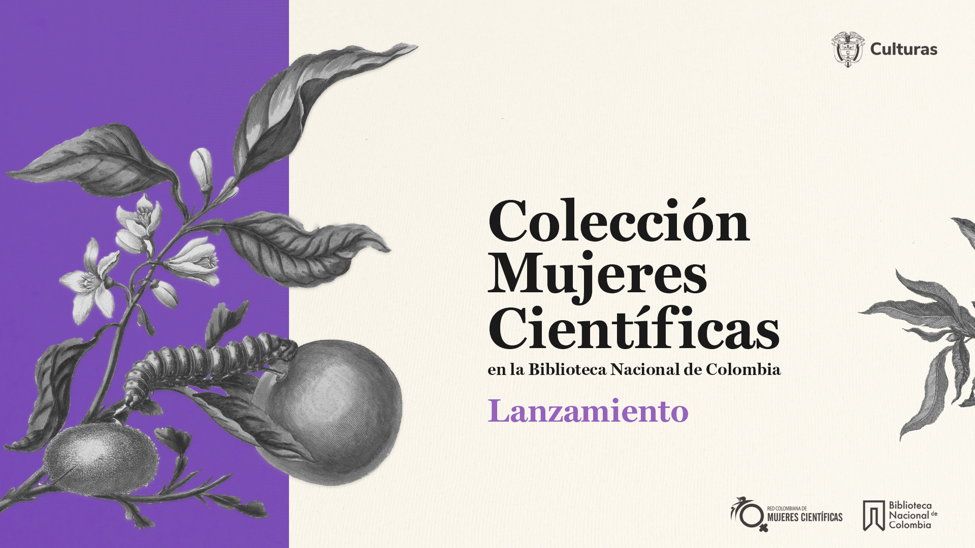 Pieza gráfica ilustrada La Biblioteca Nacional de Colombia y la Red Colombiana de Mujeres Científicas presentan la Colección Muj