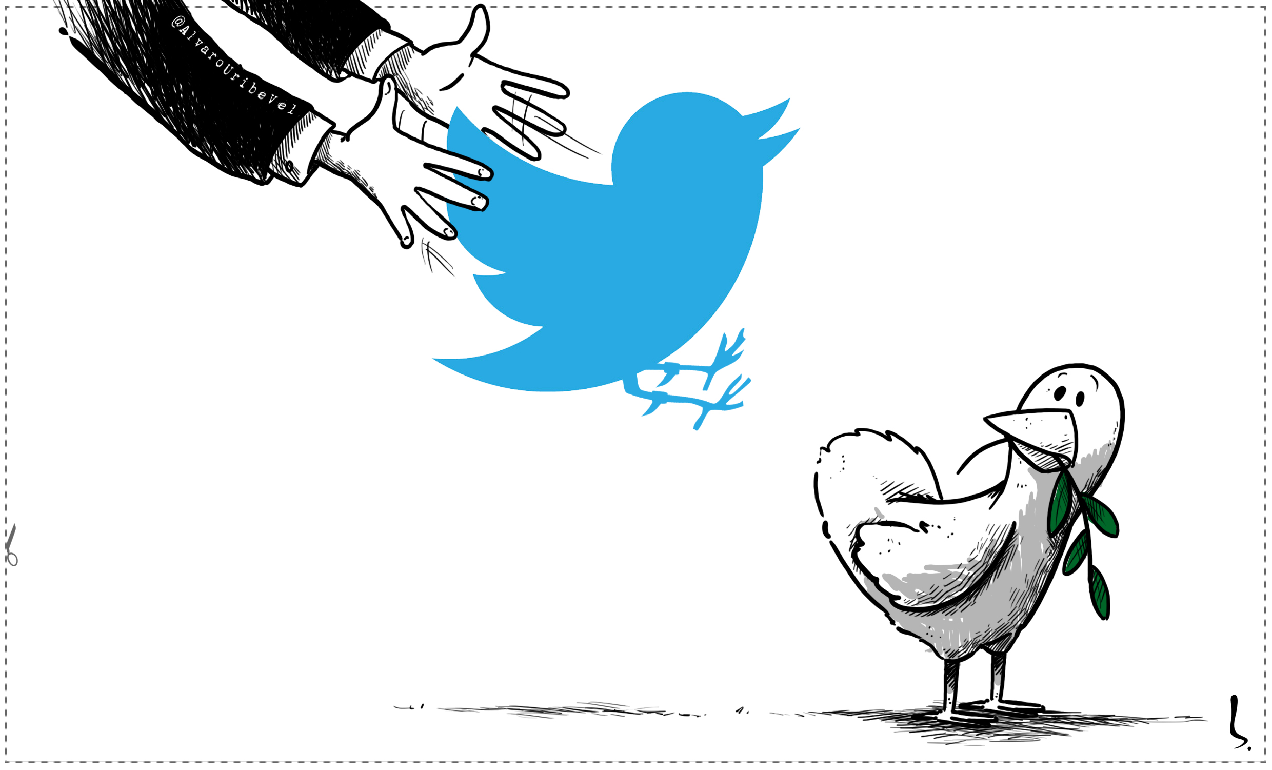 GALLO DE PELEA twitter.jpg