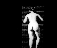 Descripción: obert cahen