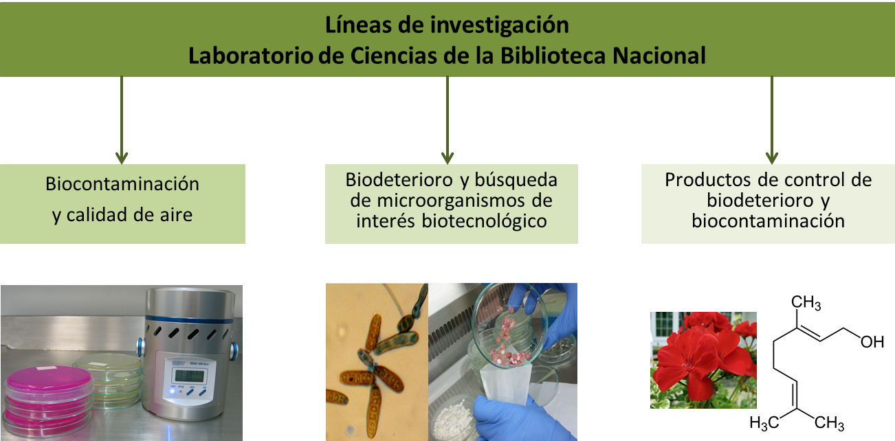 Lineas de investigación.png
