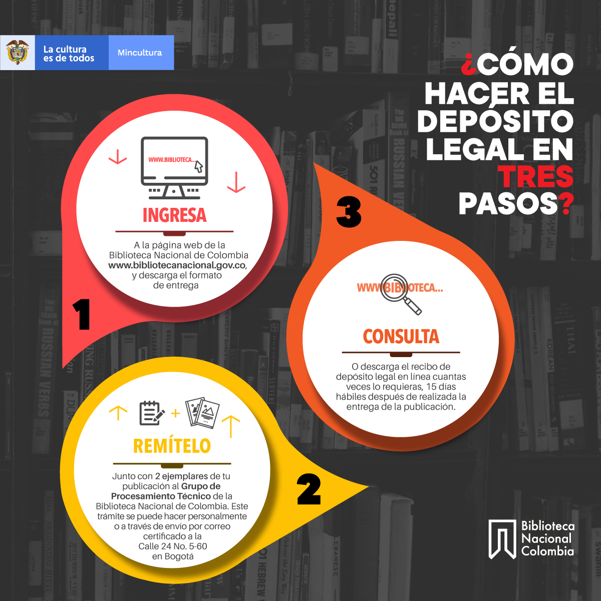 infogra-depost(3pasos)redes-2.jpg